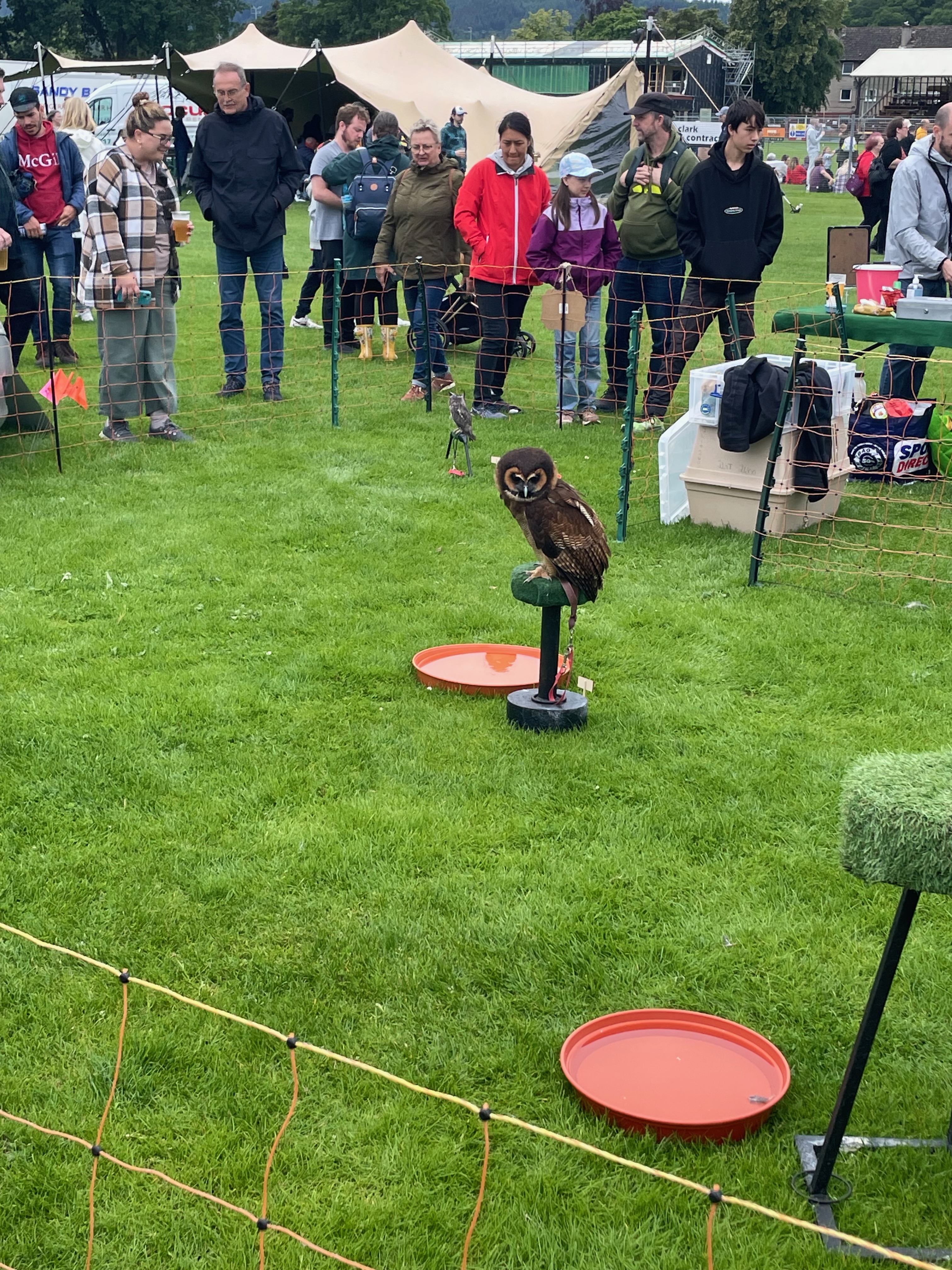 Bught Park & Highland Games