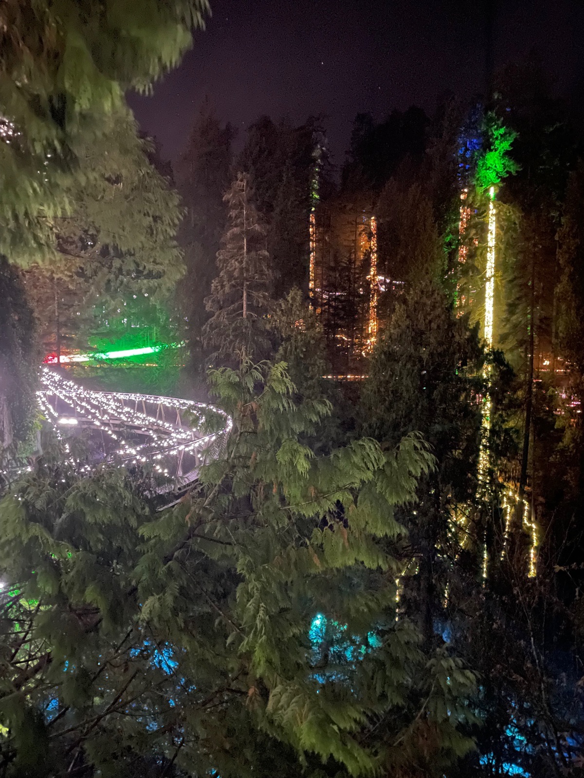 Capilano Suspension Bridge Canyon Lights