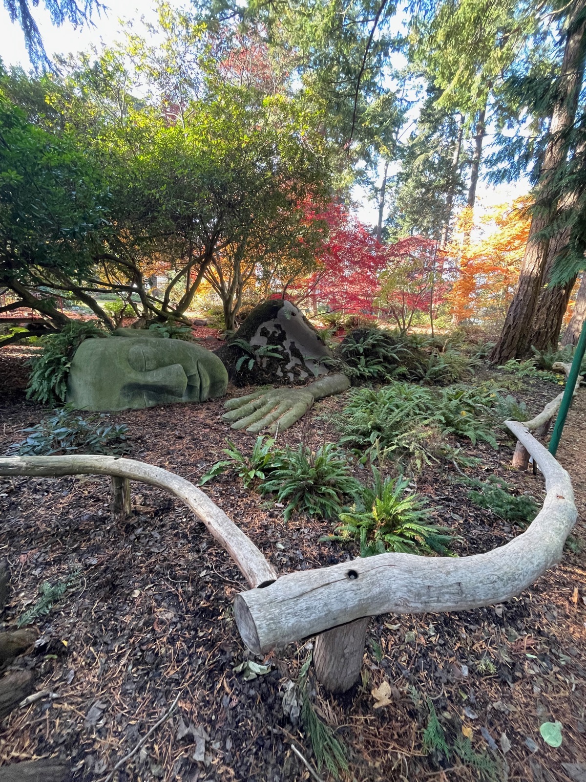 Beacon Hill Park garden