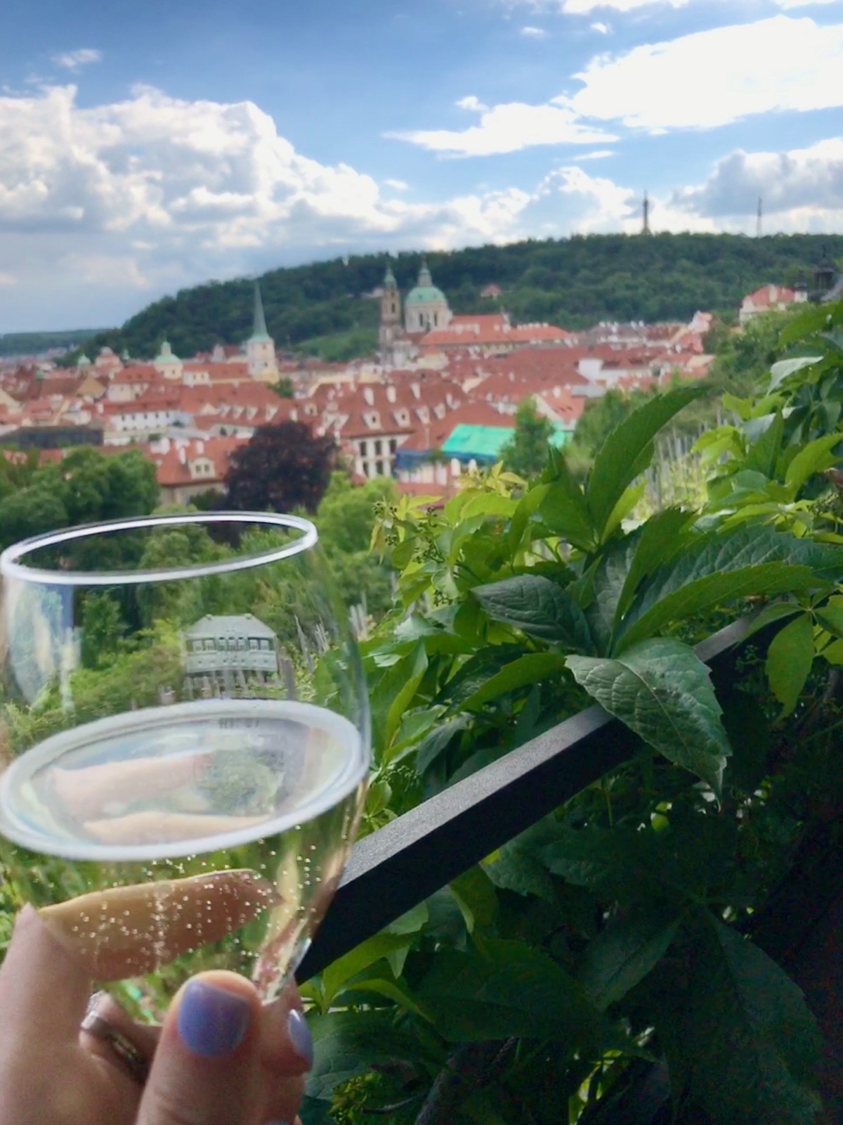 St. Wenceslas Vineyard