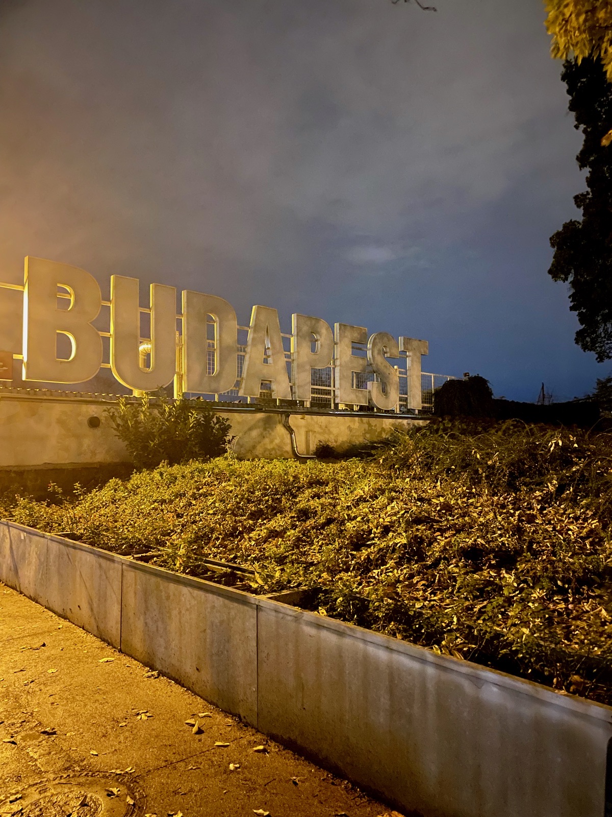 Budapest Sign lit up at night