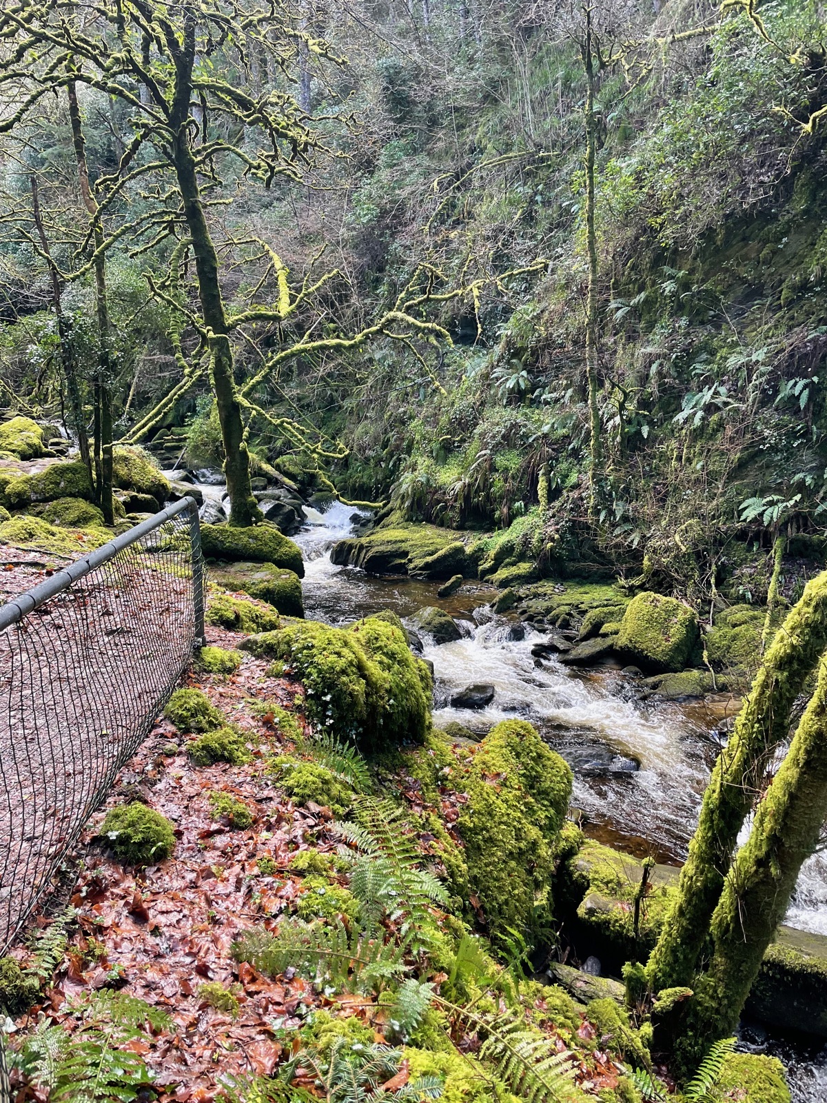 Torc Waterfall