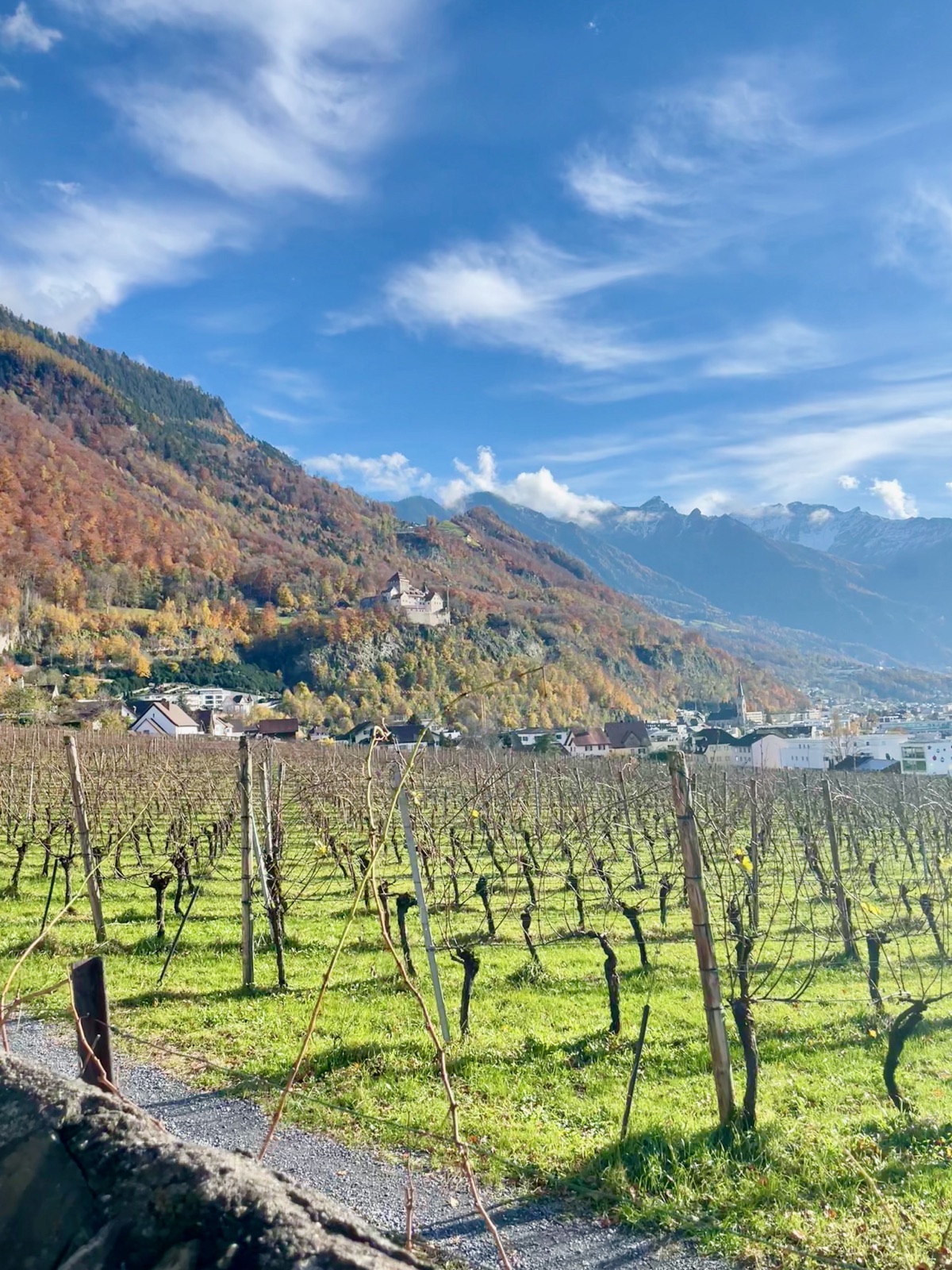 Cellars of the Prince of Liechtenstein