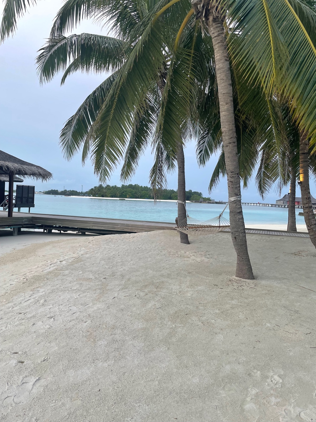 Anantara Veli Maldives Resort — palm trees, hammock and white sand beach with overwater bungalows in the background