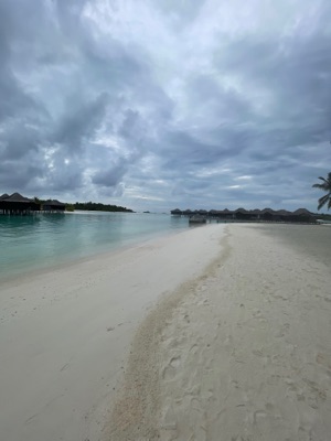 Dhoni Bar — beach and overwater bungalows