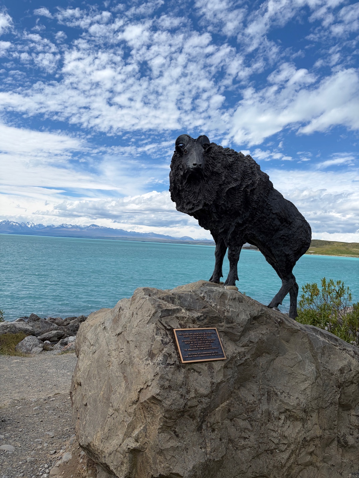 Mt Cook Alpine Salmon Shop