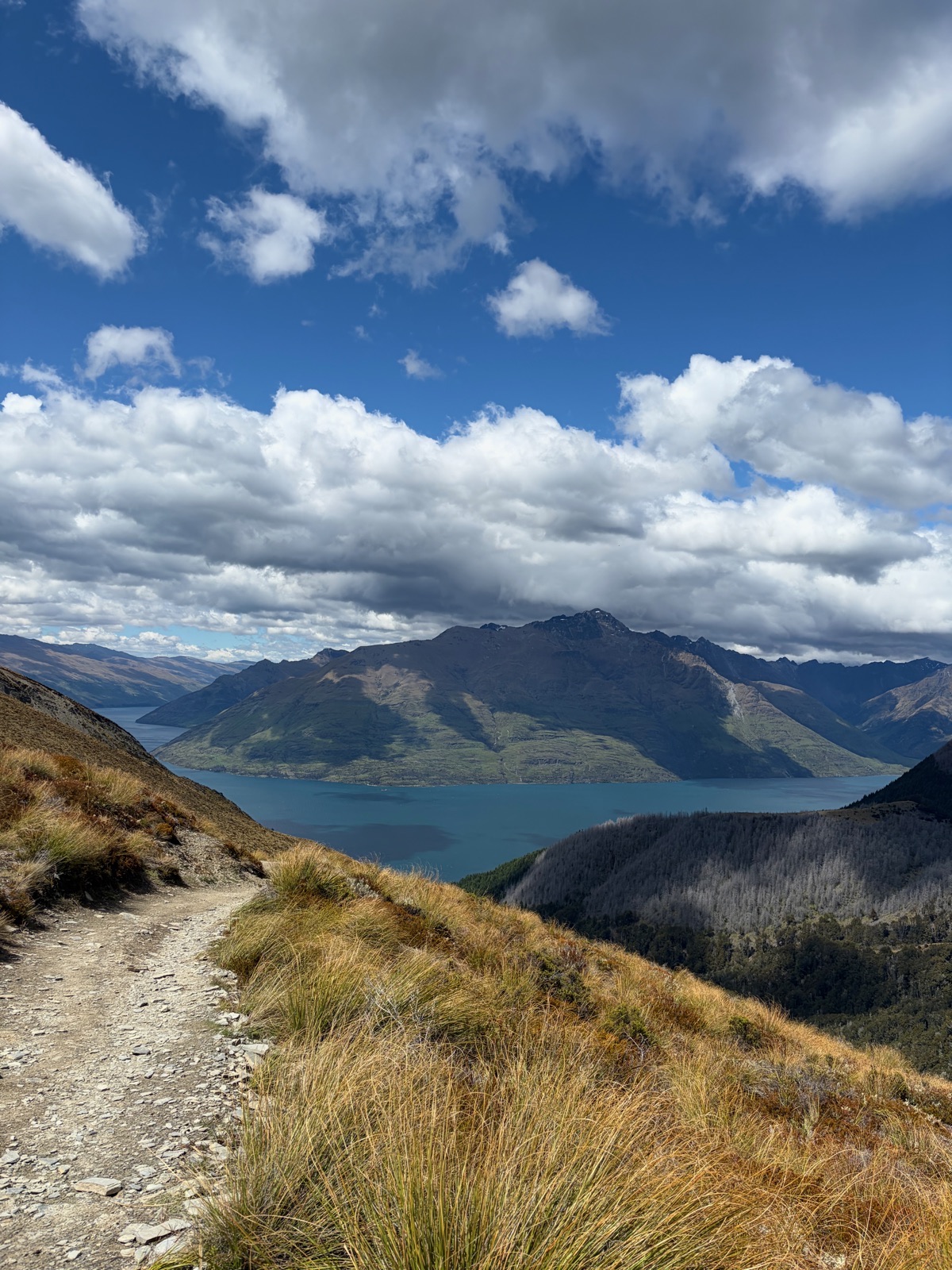Ben Lomond Track viewpoint