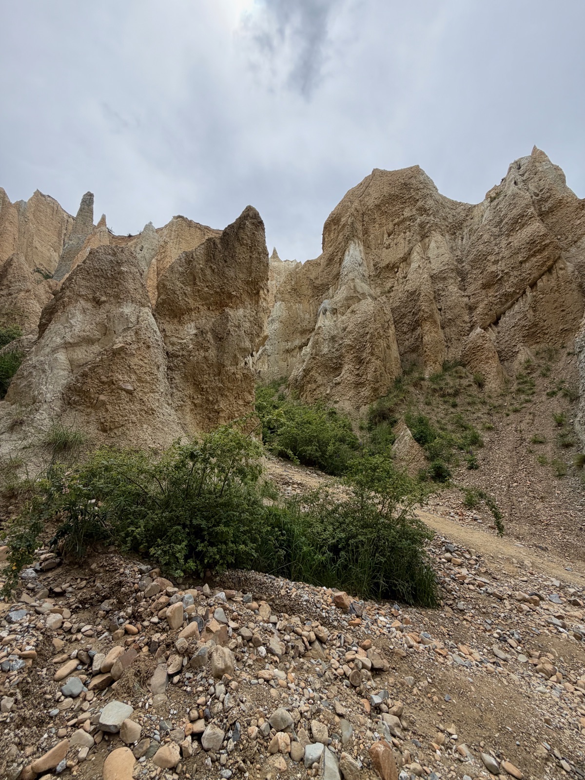 Clay Cliffs near Omarama