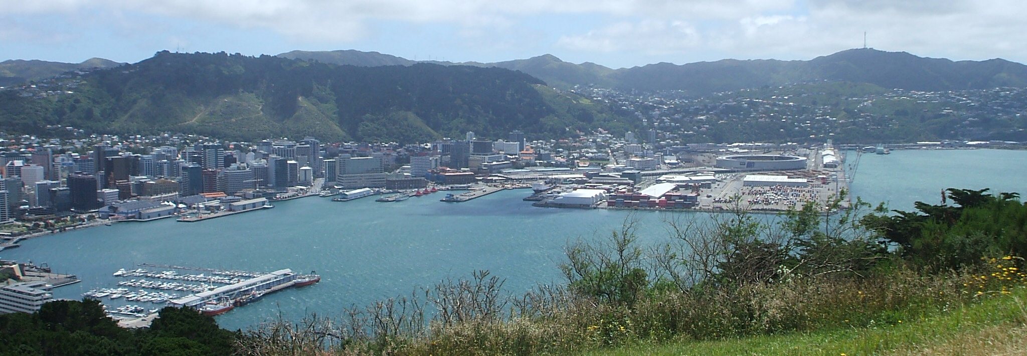 Wellington harbour and skyline