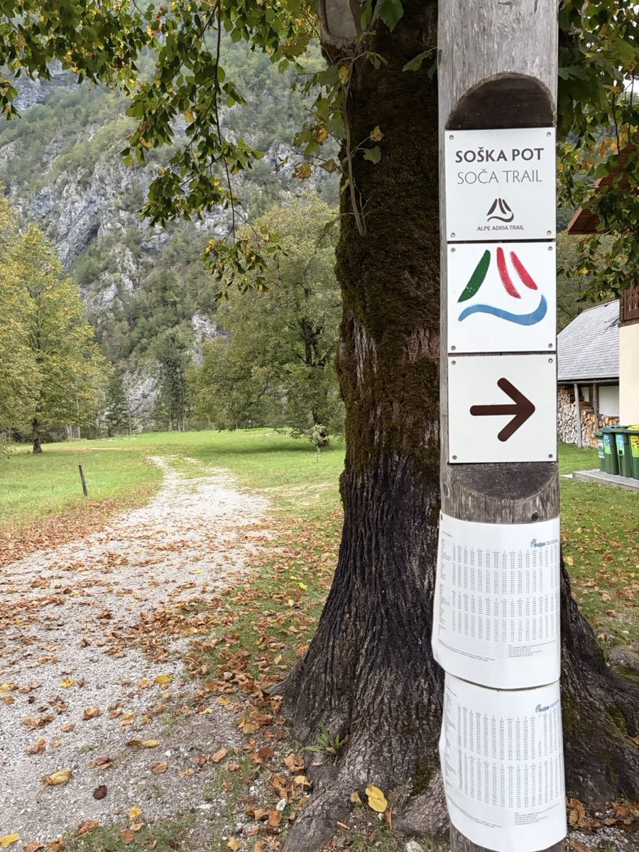 Soča Trail signpost on a tree in Trenta