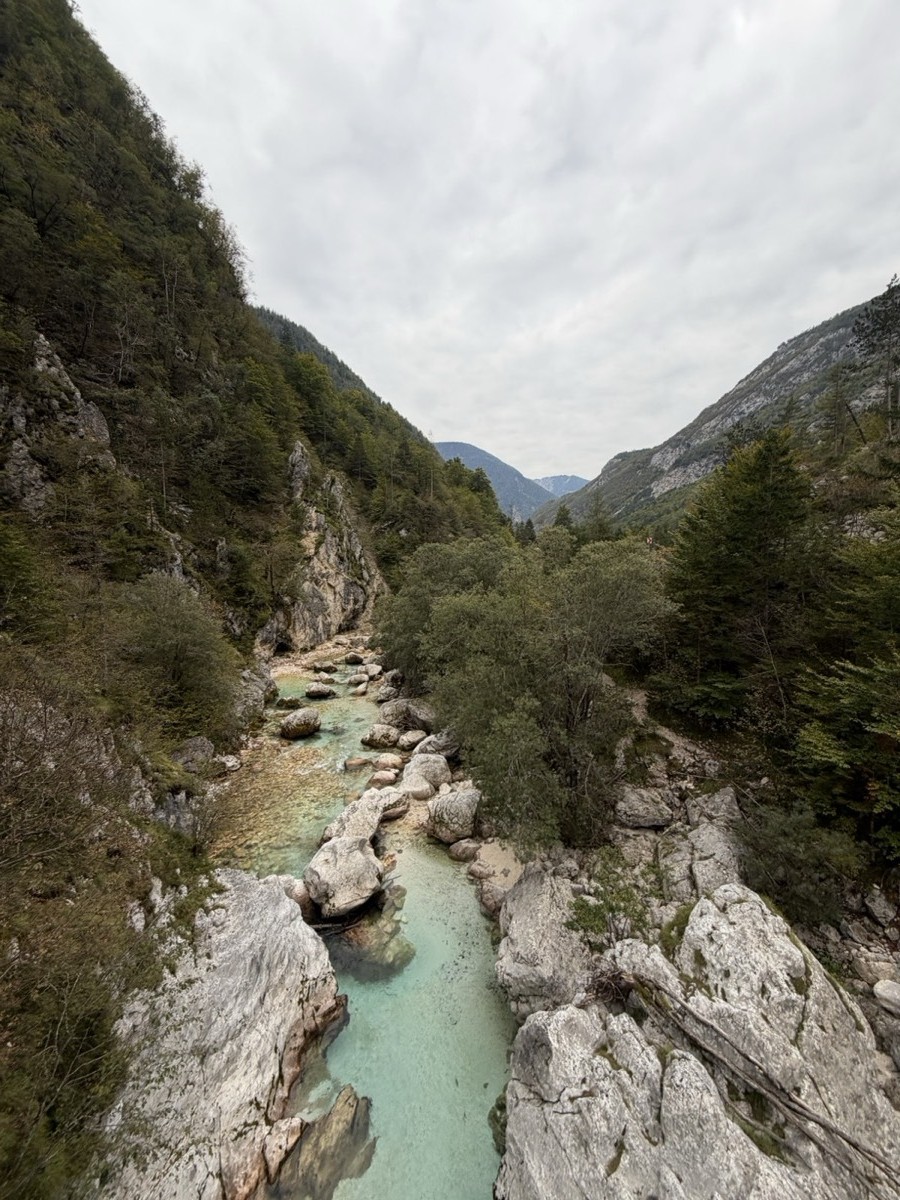 Emerald Soča river in a narrow limestone gorge