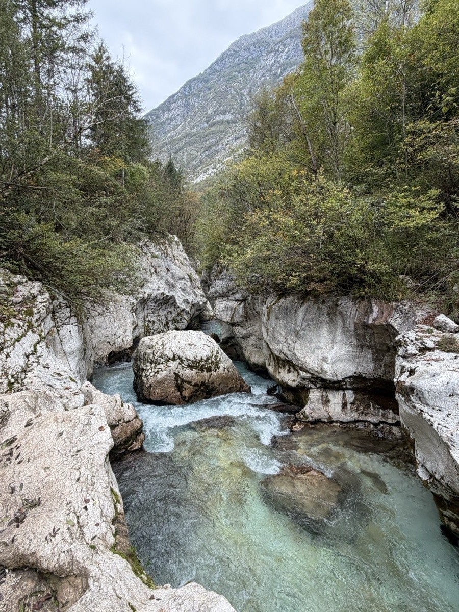 Turquoise water rushing through a rocky gorge on the Soča