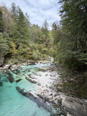Turquoise Soča river seen from the Soča Trail