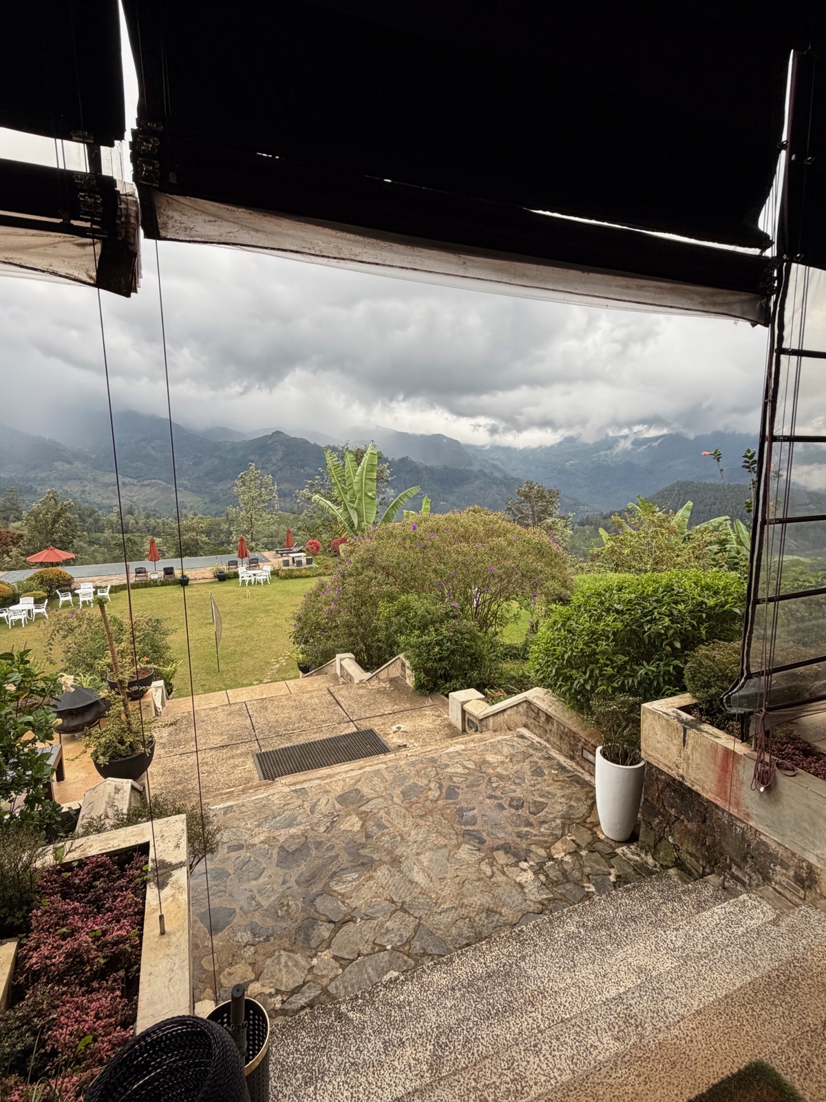 View from Madulkelle Tea and Eco Lodge
