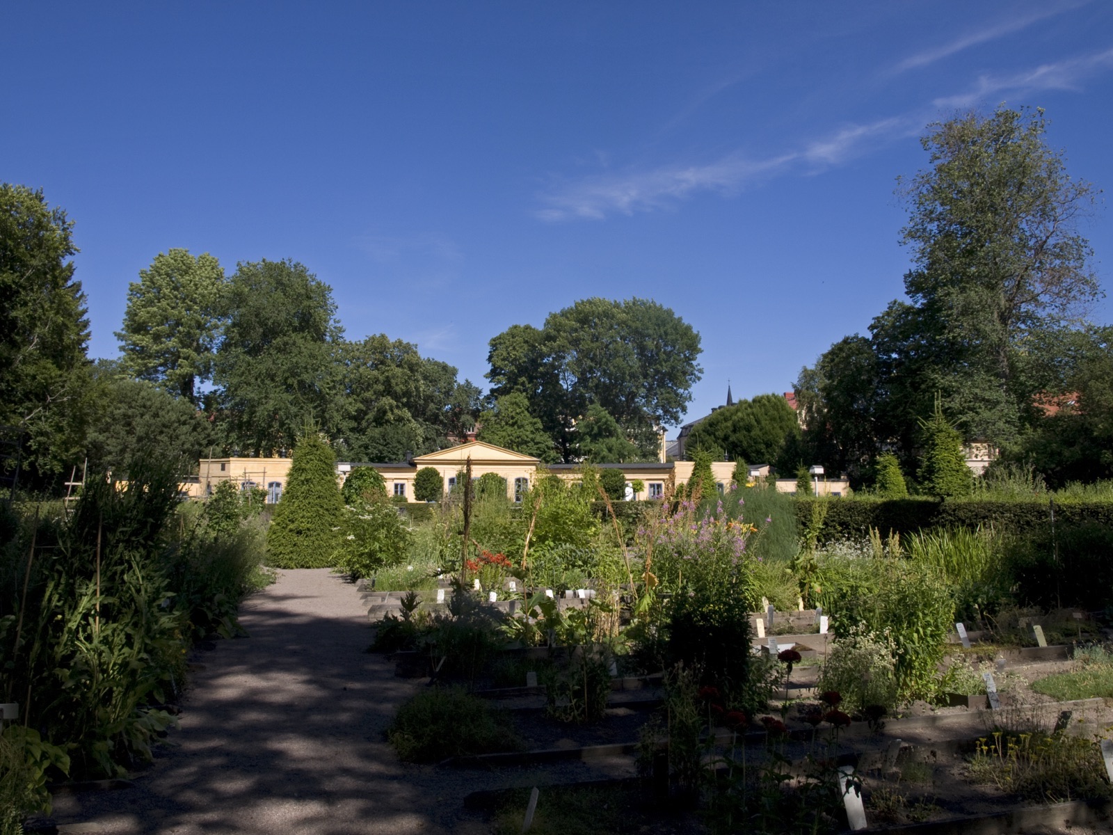 Photo of Botanical Garden